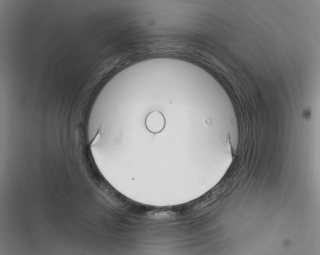 X0000116350452201001131110