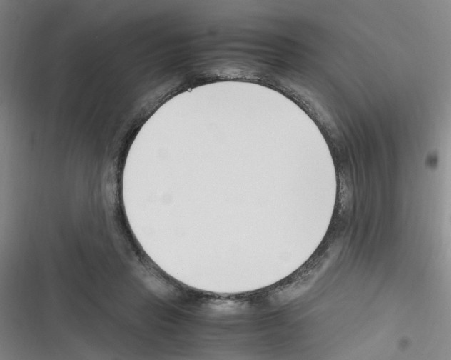 X0000116350453201001131110