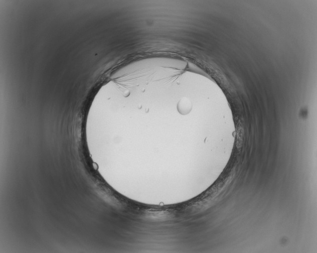 X0000116350454201001131110