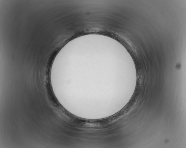 X0000116350455201001131110