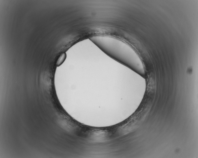 X0000116350456201001131110