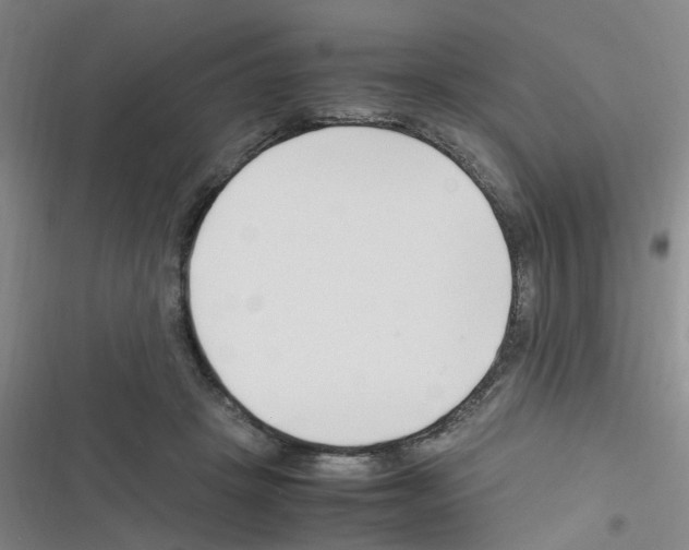 X0000116350457201001131110