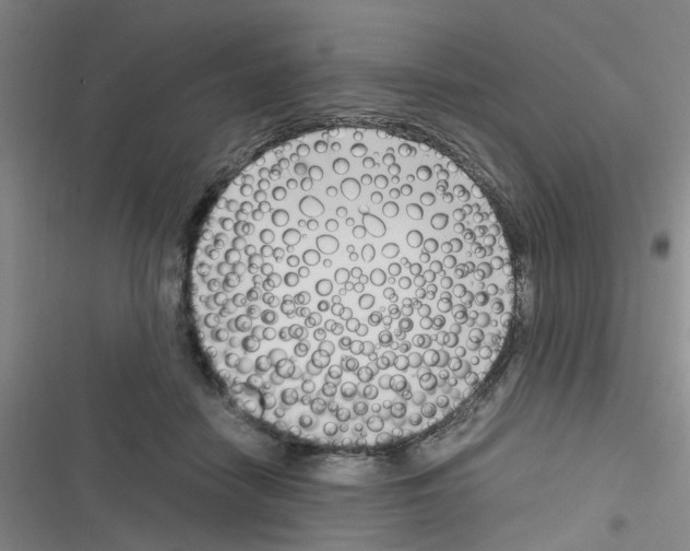 X0000116350458201001131110