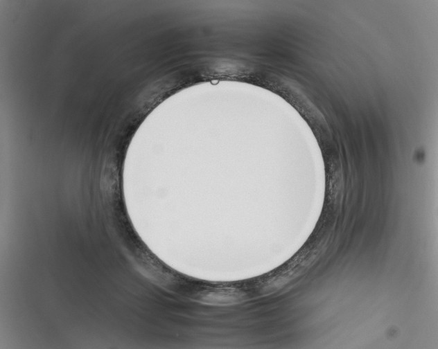 X0000116350459201001131110
