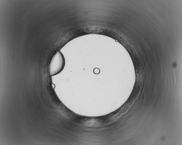 X0000116350460201001131110