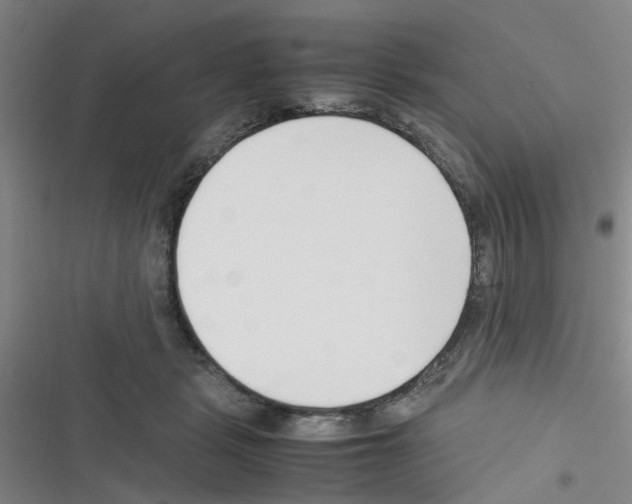 X0000116350461201001131110