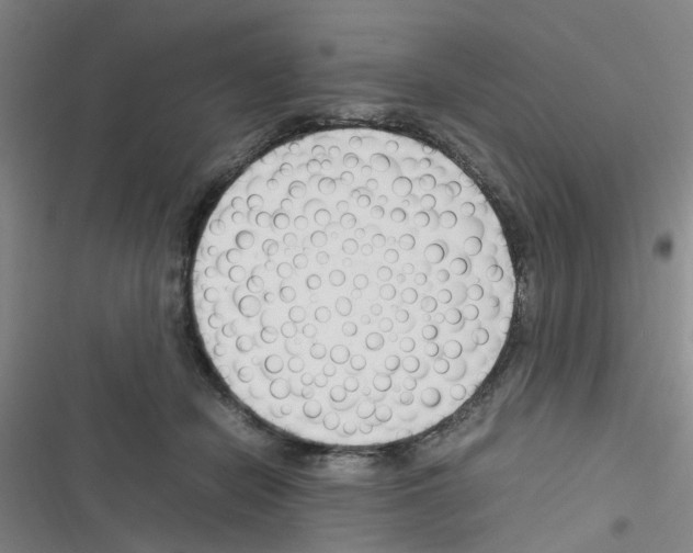 X0000116350462201001131110