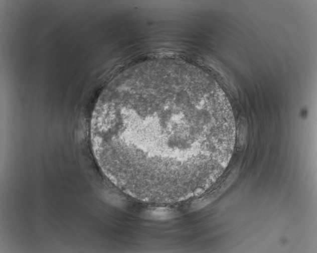 X0000116350467201001131110