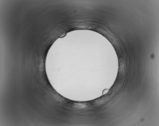 X0000116350469201001131110