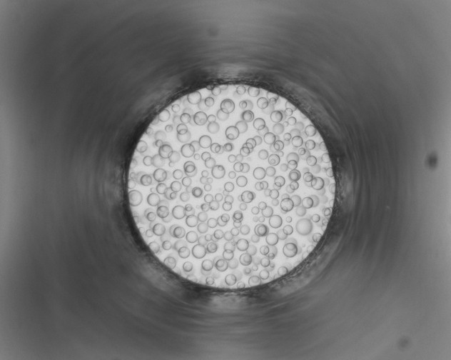 X0000116350470201001131110