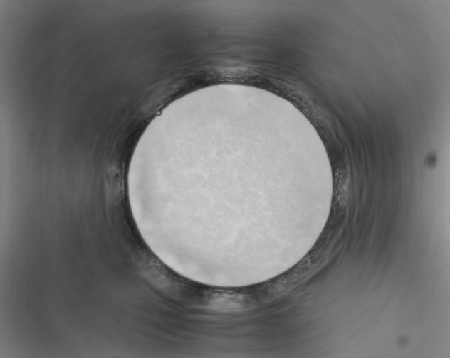X0000116350471201001131110
