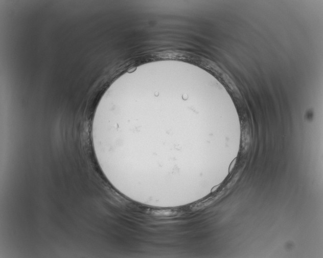 X0000116350473201001131110