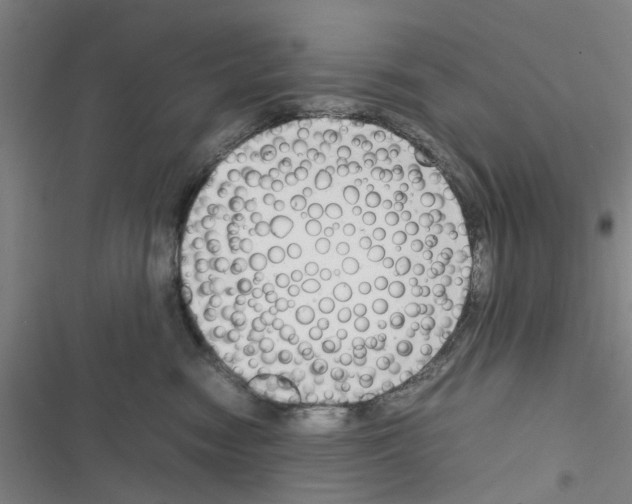 X0000116350474201001131110