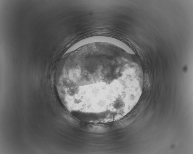 X0000116350475201001131110