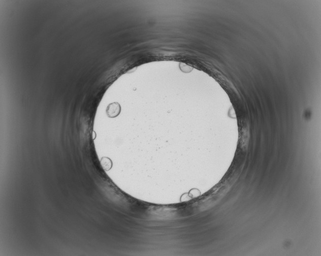 X0000116350476201001131110