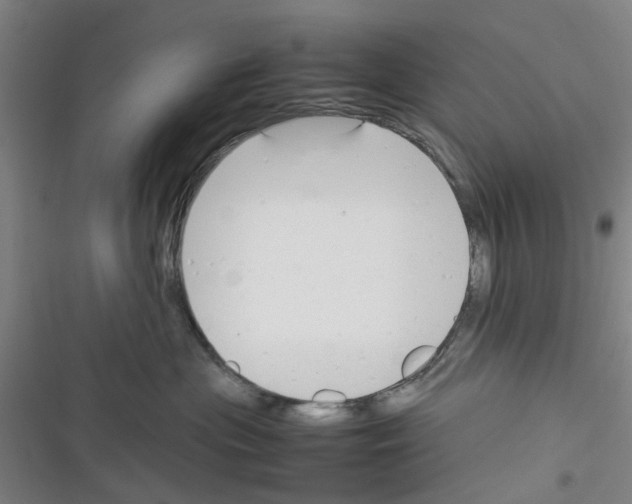 X0000116350477201001131110