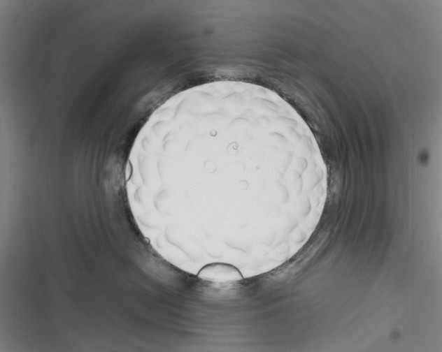 X0000116350478201001131110