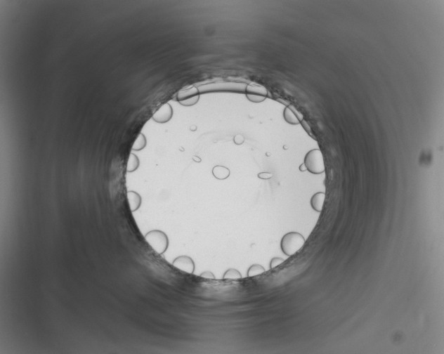 X0000116350480201001131110