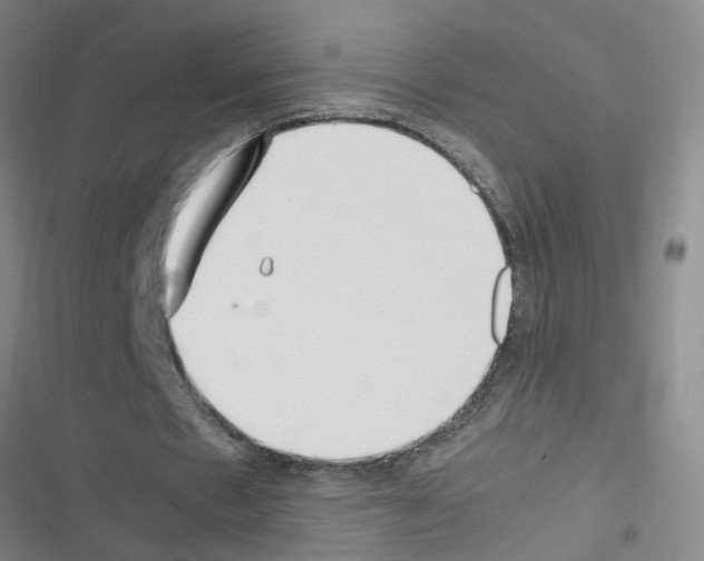 X0000116350481201001131109