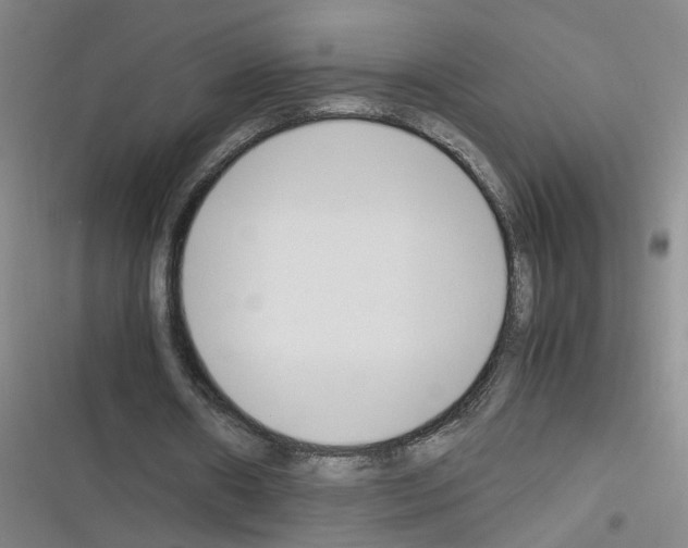 X0000116350482201001131109