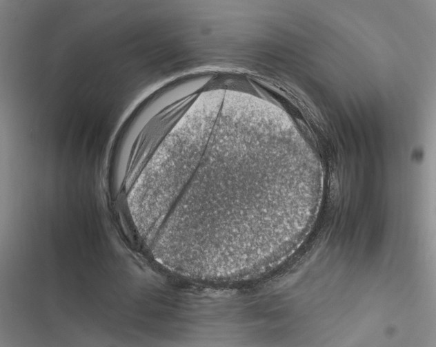 X0000116350484201001131109