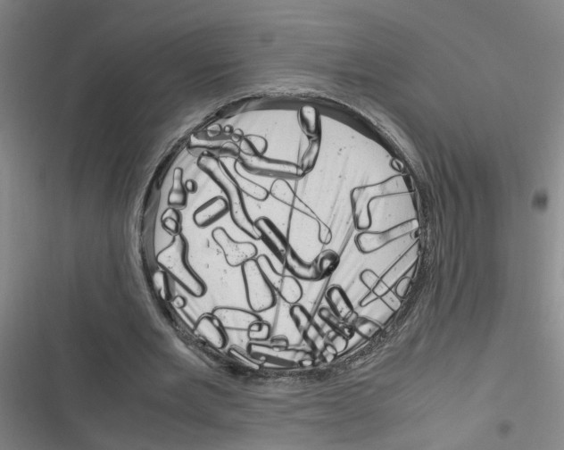 X0000116350485201001131109
