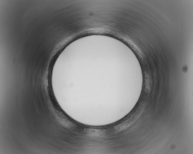 X0000116350486201001131109