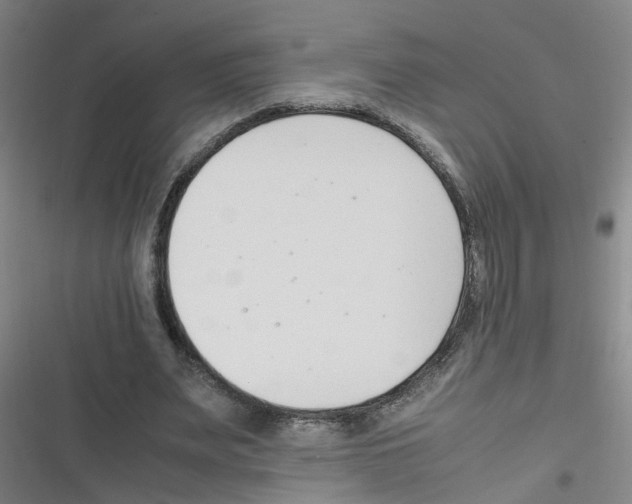 X0000116350487201001131109