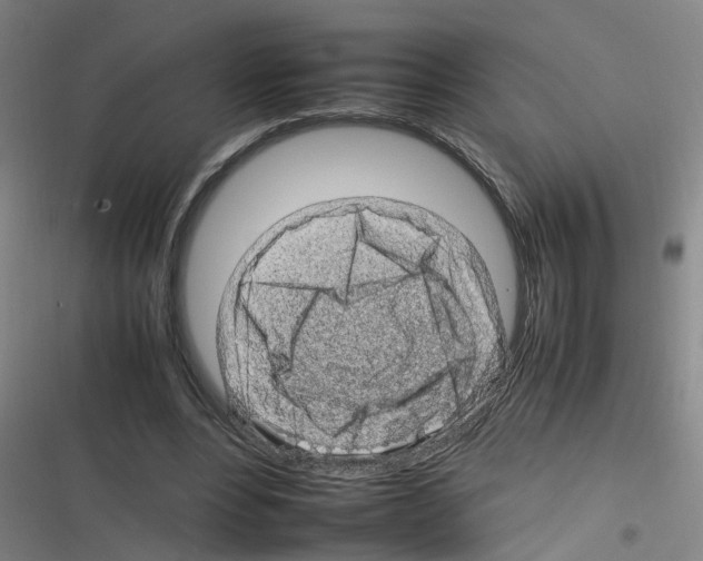 X0000116350488201001131109