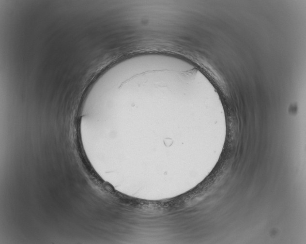 X0000116350489201001131109