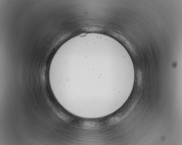 X0000116350490201001131109