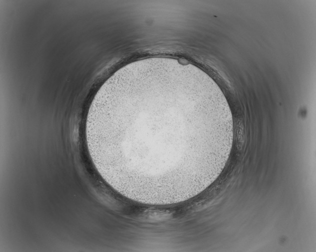 X0000116350491201001131109