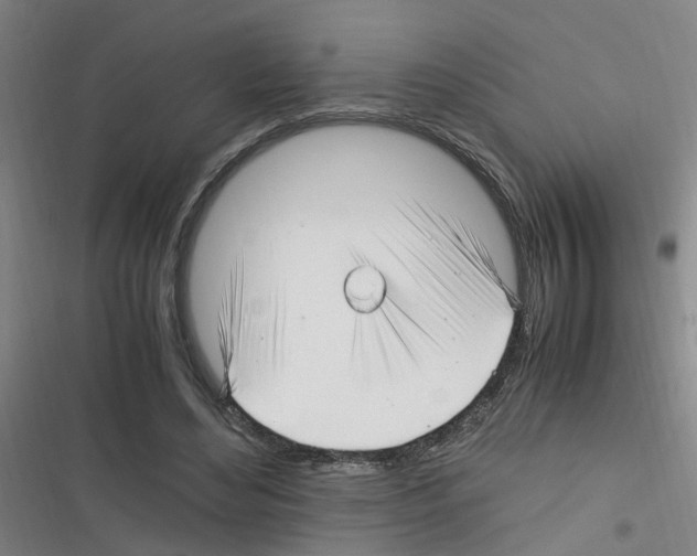 X0000116350492201001131109