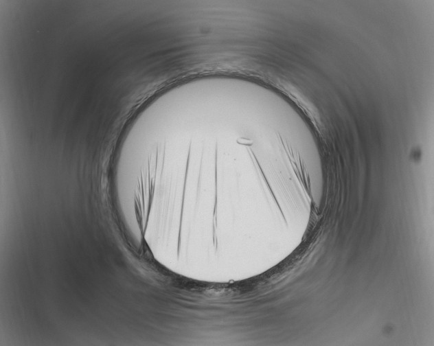 X0000116350493201001131109
