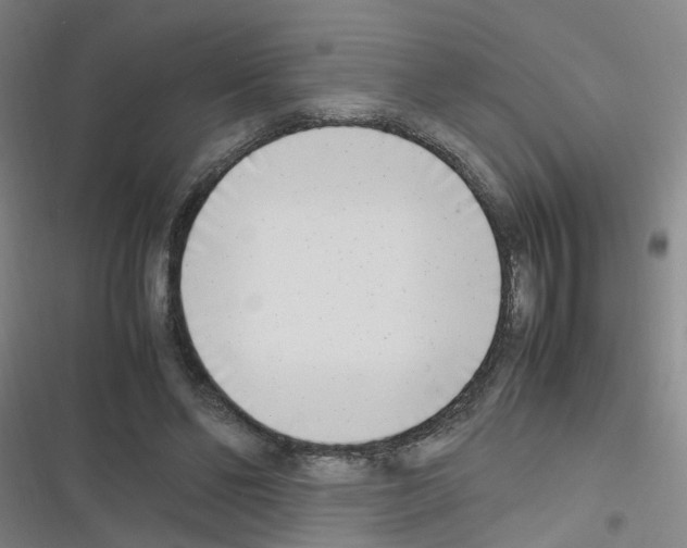 X0000116350494201001131109