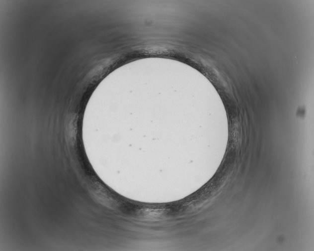 X0000116350495201001131109