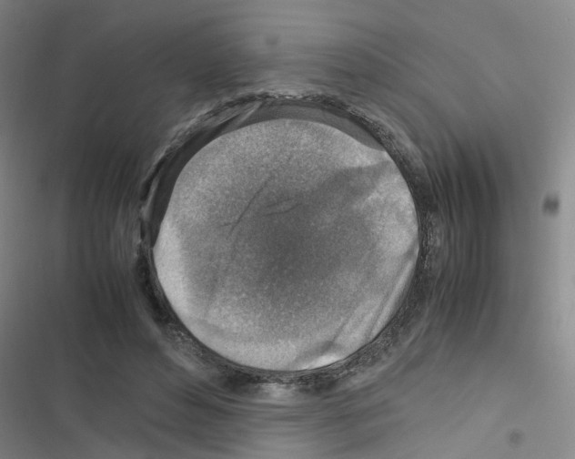 X0000116350496201001131109