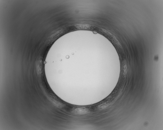X0000116350498201001131109