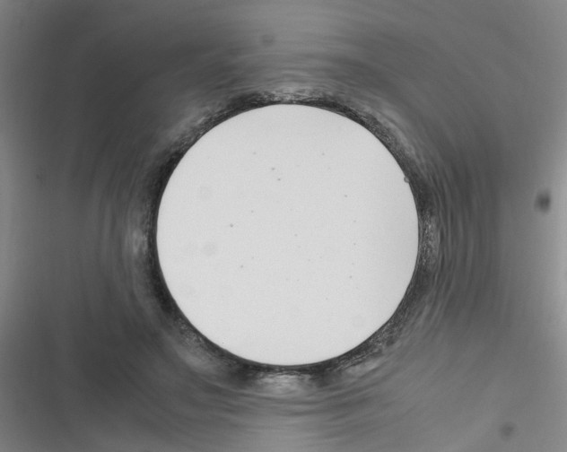 X0000116350499201001131109
