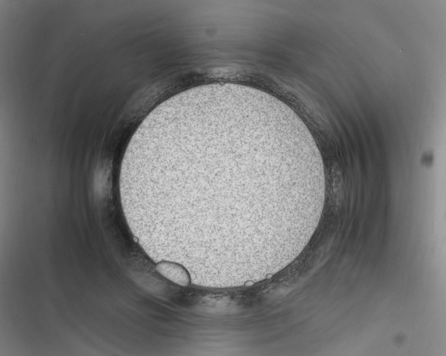 X0000116350502201001131109