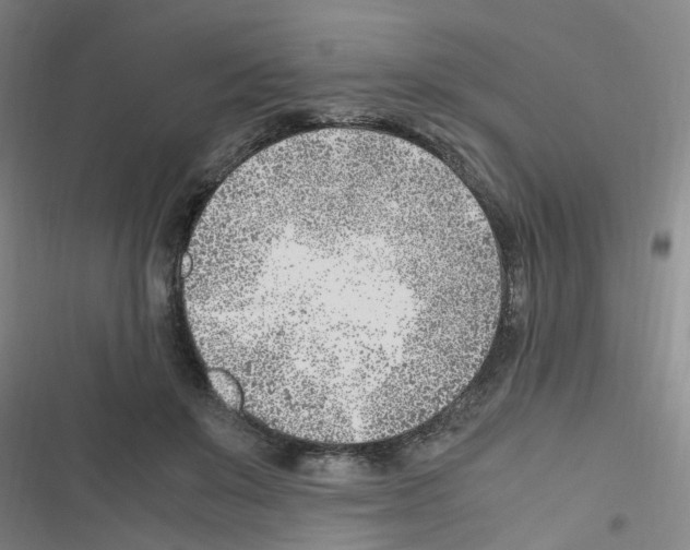 X0000116350503201001131109