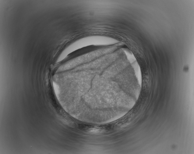 X0000116350504201001131109