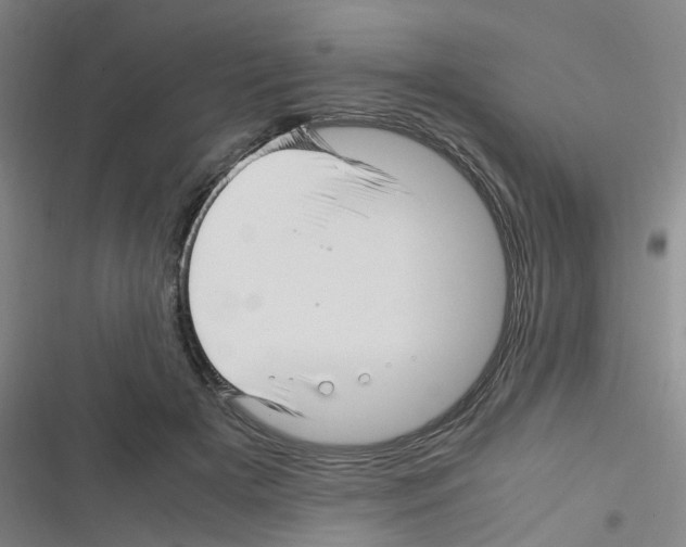 X0000116350505201001131109