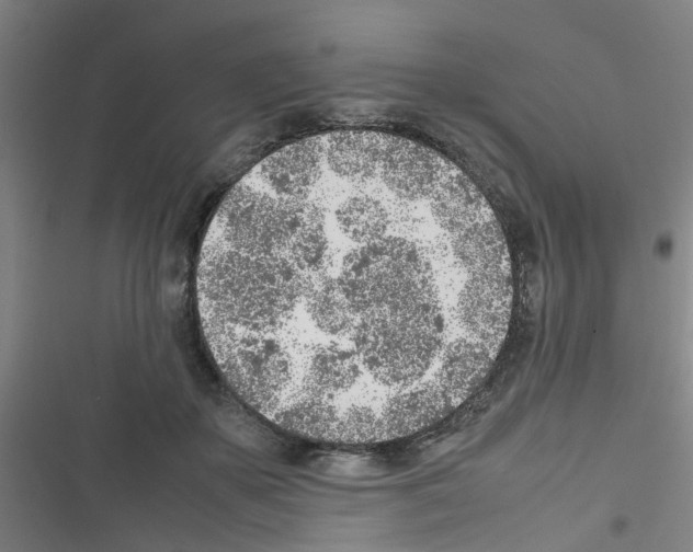 X0000116350507201001131109