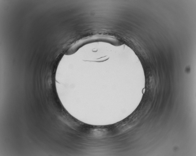 X0000116350508201001131109
