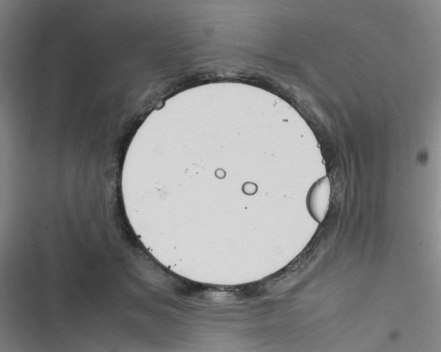 X0000116350509201001131109