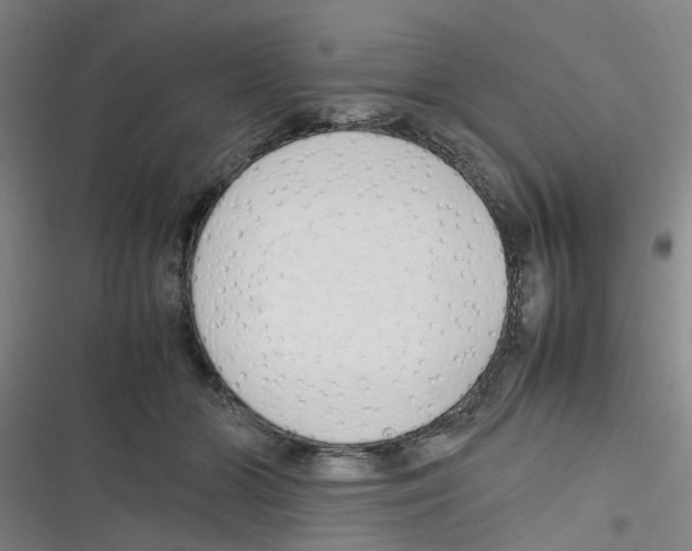 X0000116350510201001131109