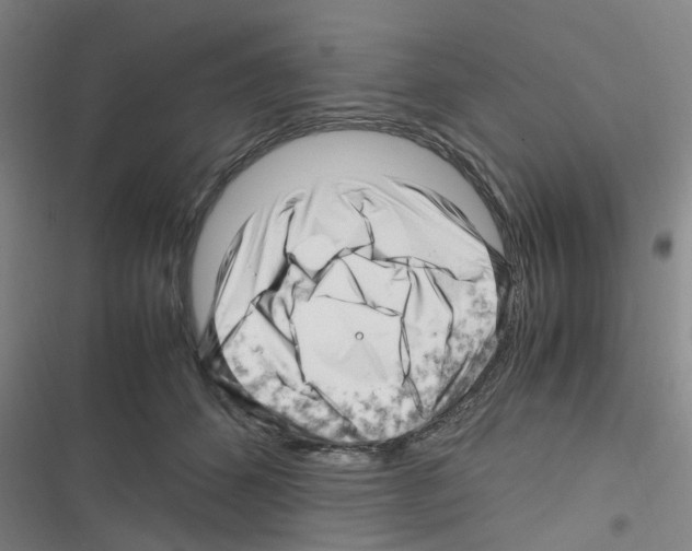 X0000116350512201001131109