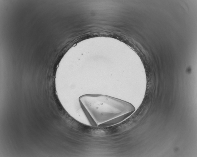 X0000116350513201001131109
