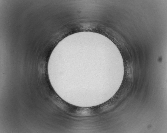 X0000116350514201001131109